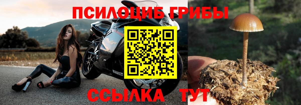 Галлюциногенные грибы прущие грибы Муром
